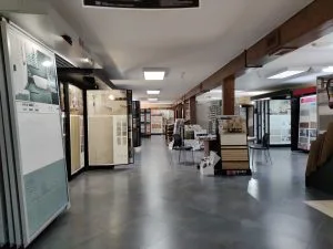 Exposición - imagen 16