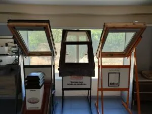 Exposición - imagen 2