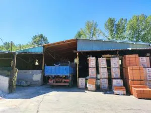 Instalaciones - imagen 29