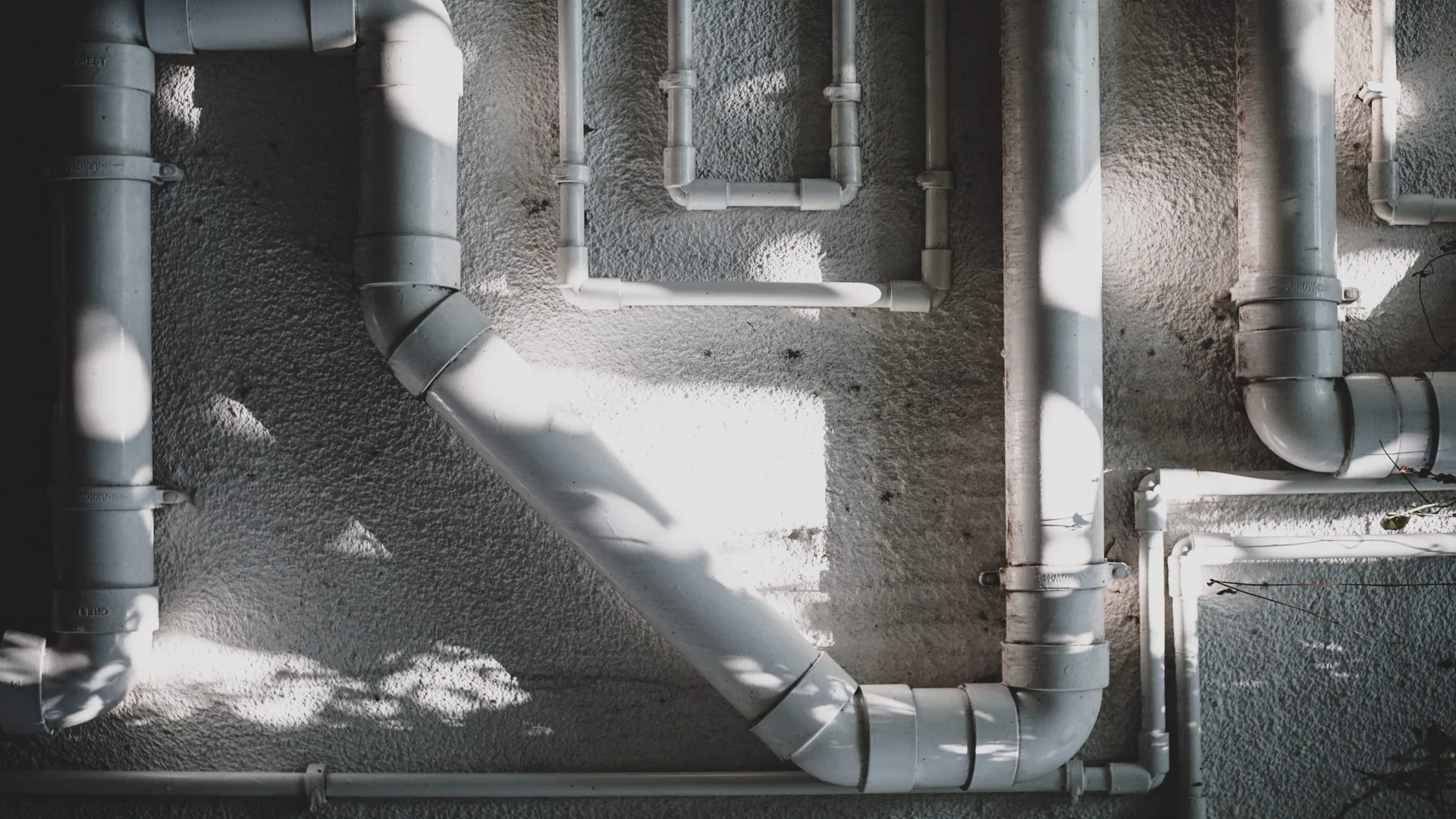 Años de experiencia en el sector